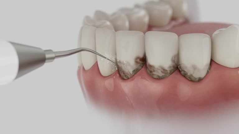 Reliable Dental contractor in Coaldale, PA by Dentist Open Now